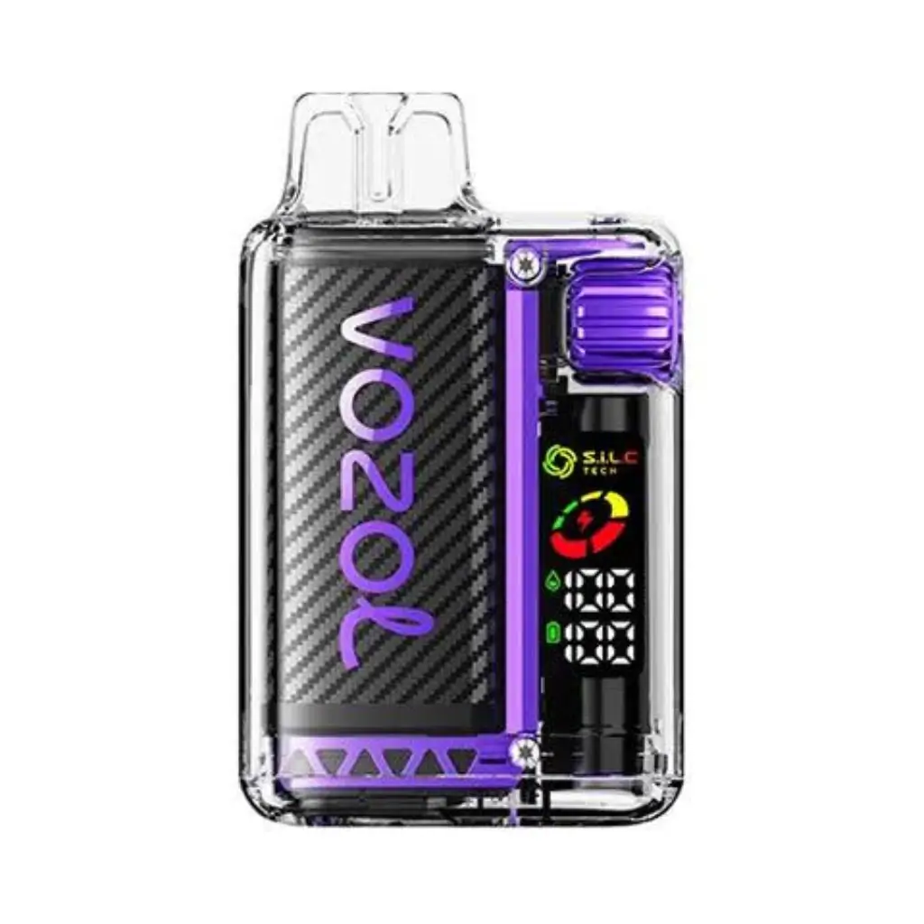 VOZOL VISTA 20000 Disposable Vape – Strawberry Mango flavor, 20K Puffs, 24ml E-Liquid, USB-C Rechargeable.