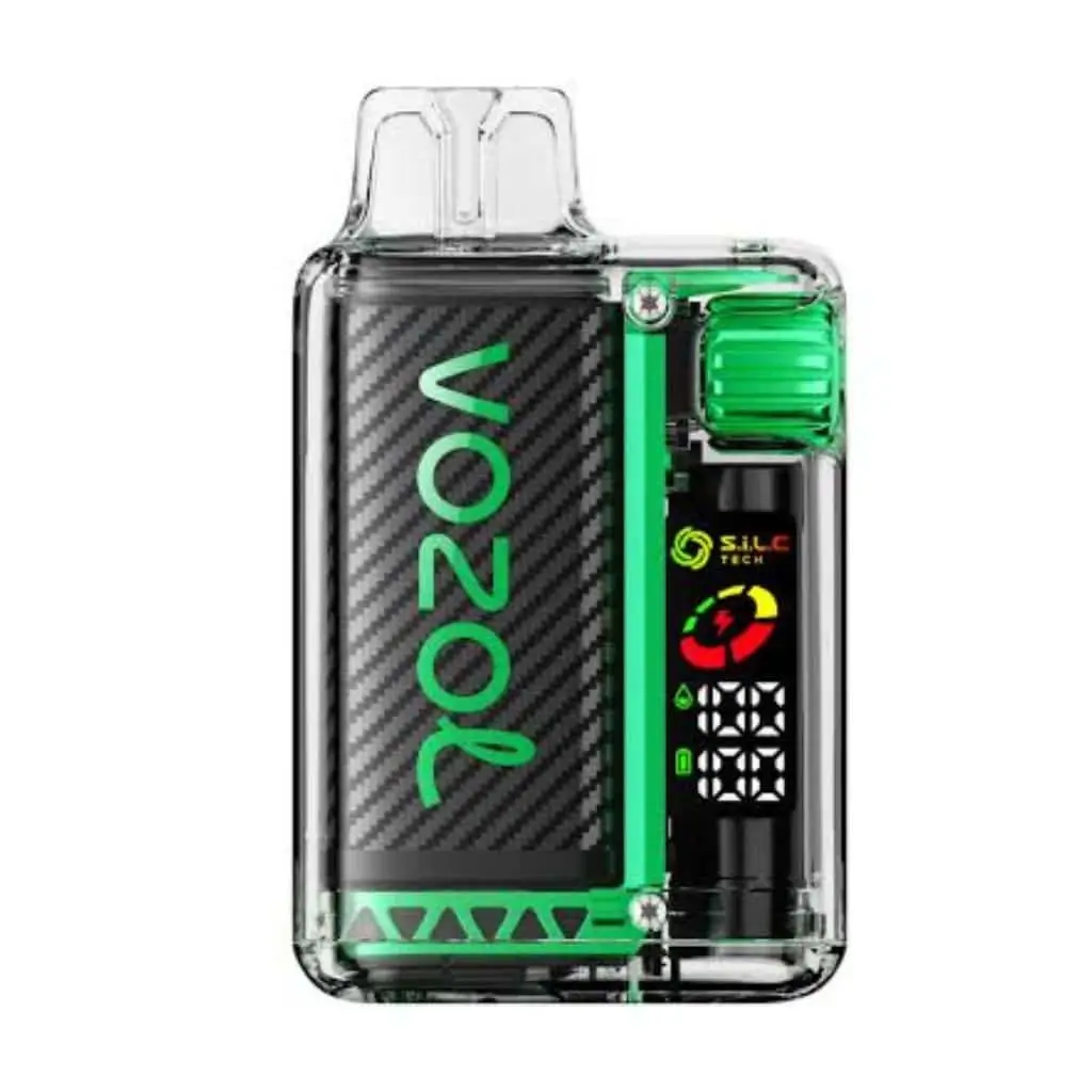 VOZOL VISTA 20000 Disposable Vape – Watermelon Bubblegum flavor, 20K Puffs, 24ml E-Liquid, USB-C Rechargeable.